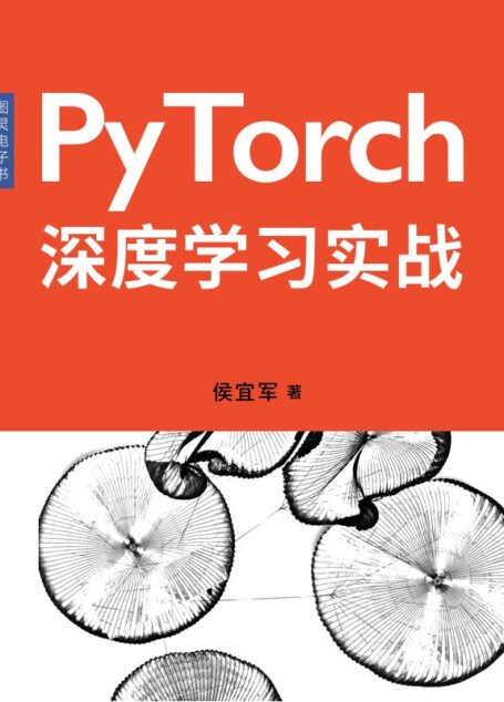PyTorch深度学习实战