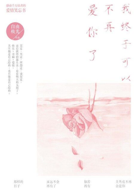 我终于可以不再爱你了