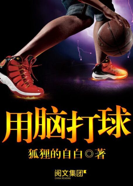 用脑打球第2卷