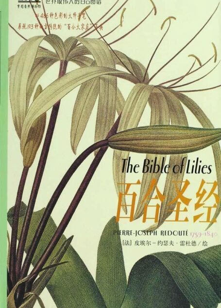 百合圣经 (世界最伟大的百合图谱)