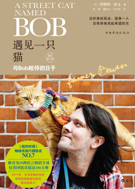 遇见一只猫:与Bob相伴的日子