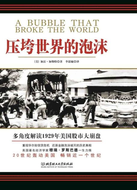 压垮世界的泡沫(20世纪轰动美国,畅销近一个世纪,美国著名经济学家穆瑞•罗斯巴德一生力推!)