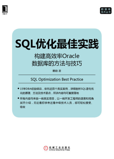 SQL优化最佳实践:构建高效率Oracle数据库的方法与技巧 (数据库技术丛书)