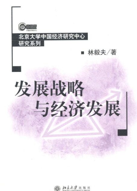 发展战略与经济发展 (北京大学中国经济研究中心研究系列)