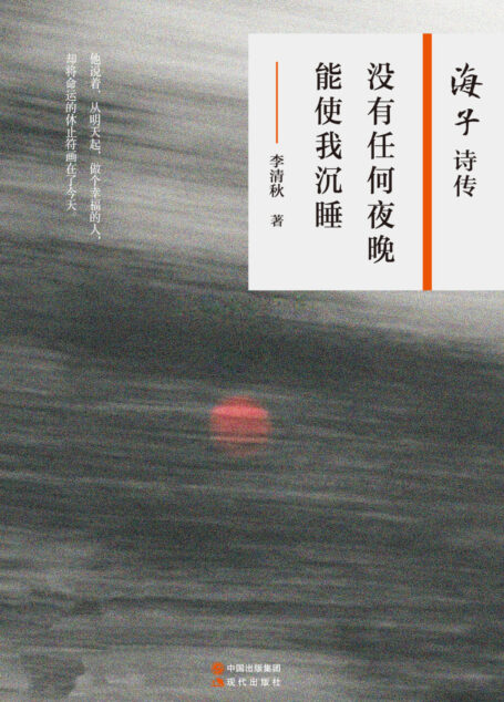 没有任何夜晚能使我沉睡:海子诗传