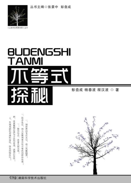 不等式探秘 (《让数学变得更容易》丛书)