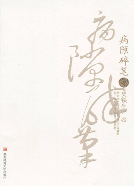 病隙碎笔(修订版) (博集文学典藏系列)