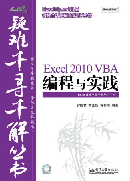 Excel 2010 VBA编程与实践 (Excel疑难千寻千解丛书)