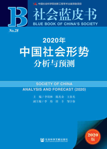 2020年中国经济形势分析与预测 (经济蓝皮书)