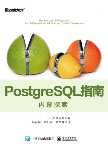PostgreSQL指南:内幕探索