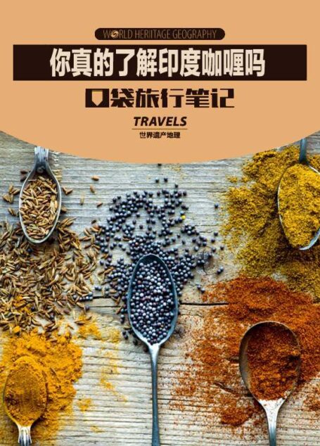 你真的了解印度咖喱吗 (世界遗产地理·口袋旅行笔记)