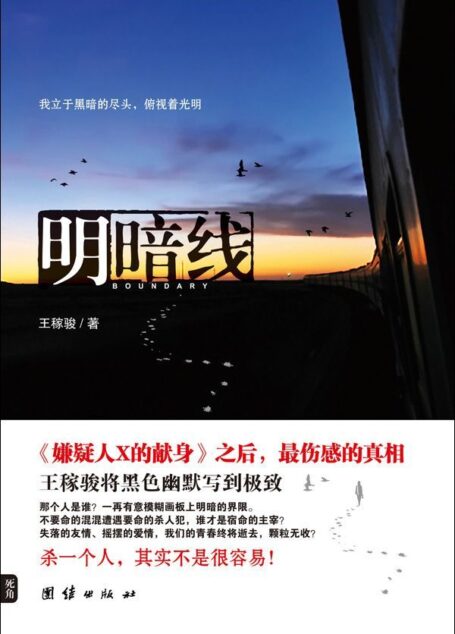 明暗线 (鼎足文库·死角书系·王稼骏作品:D-001)
