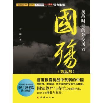 国殇(第9部):抗战时期的外交风云 (插图版)