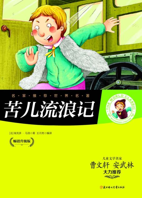 名家推荐世界名著:苦儿流浪记(儿童文学名家曹文轩、安武林大力推荐)