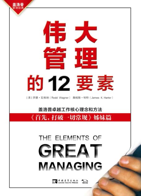 伟大管理的12要素:《首先,打破一切常规》姊妹篇 盖洛普问题分析与卓越工作法(企业员工、政府公务员、军队官兵培训读本)