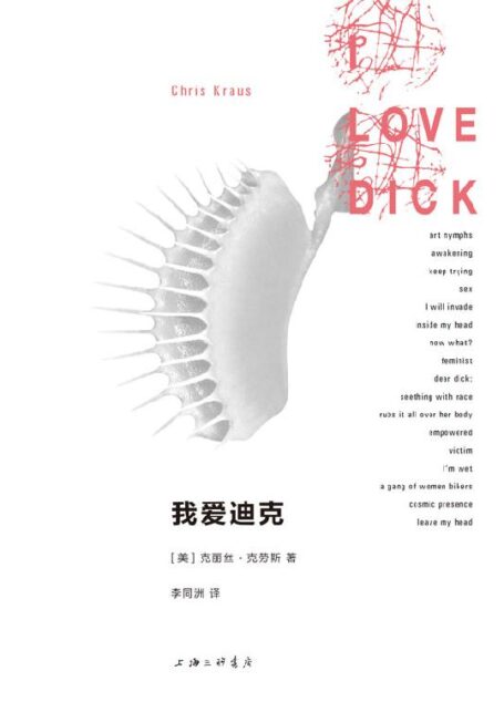我爱迪克(一本艾玛·包法利自己写的《包法利夫人》)