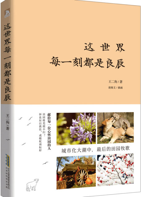 这世界每一刻都是良辰