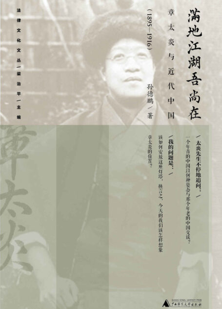 满地江湖吾尚在：章太炎与近代中国（1895～1916） (法制文化文丛)