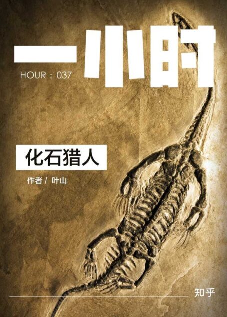 化石猎人:知乎叶山作品 (知乎「一小时」系列)