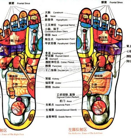 史上最全的穴位详细讲解