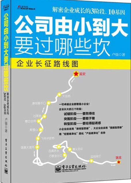 公司由小到大要过哪些坎 (博瑞森管理丛书)