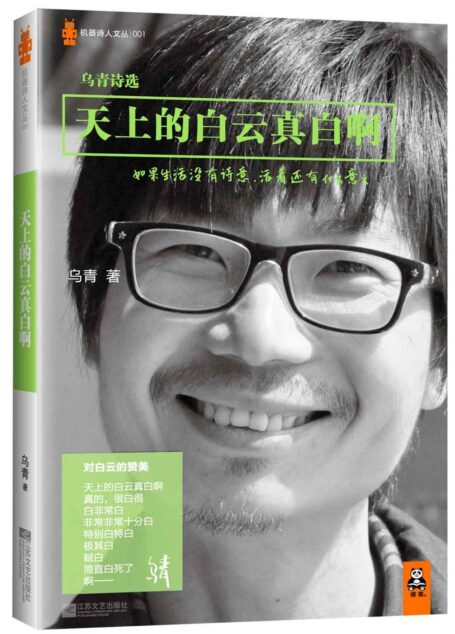 天上的白云真白啊:乌青诗选 (机器诗人文丛)