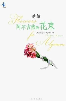038献给阿尔吉侬的花束