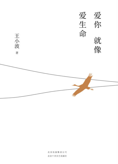 爱你就像爱生命——王小波