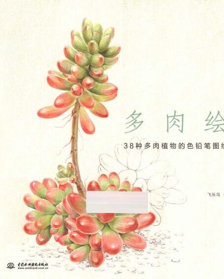 多肉绘