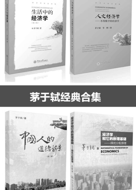 茅于轼经典合集(套装4册:生活中的经济学;人文经济学-不用数学的经济学;中国人的道德前景;经济学和它的数理基础-择优分配原理))