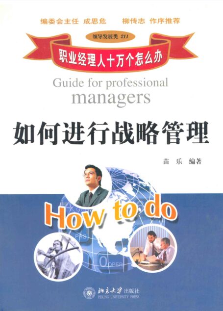 职业经理人十万个怎么办:如何进行战略管理 (职业经理人十万个怎么办·领导发展类:11)