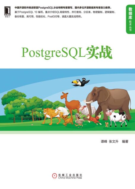 PostgreSQL实战 (数据库技术丛书)