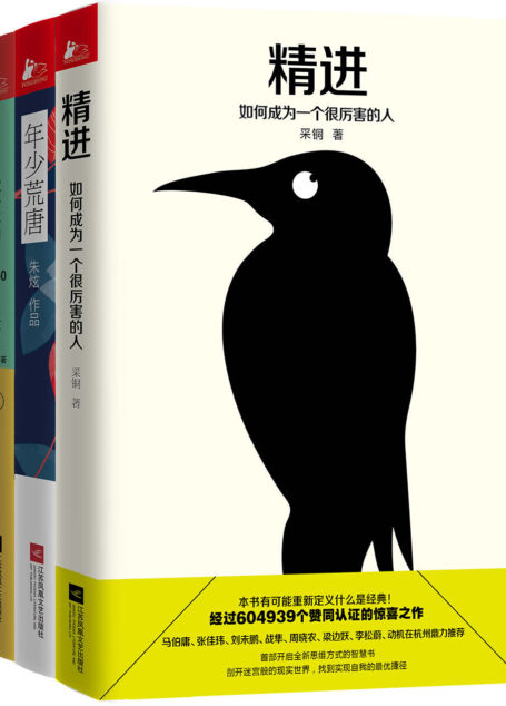 励志必读：精进+年少荒唐+你一年的8760小时（套装共3册）