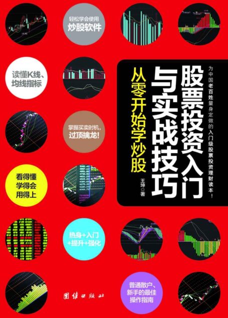 股票投资入门与实战技巧:从零开始学炒股(专为中国老百姓量身定做的入门级股票投资理财致富宝典!股市赢家10多年操作生涯对炒股的理解感悟与经验总结!看得懂、学得会、用得上)