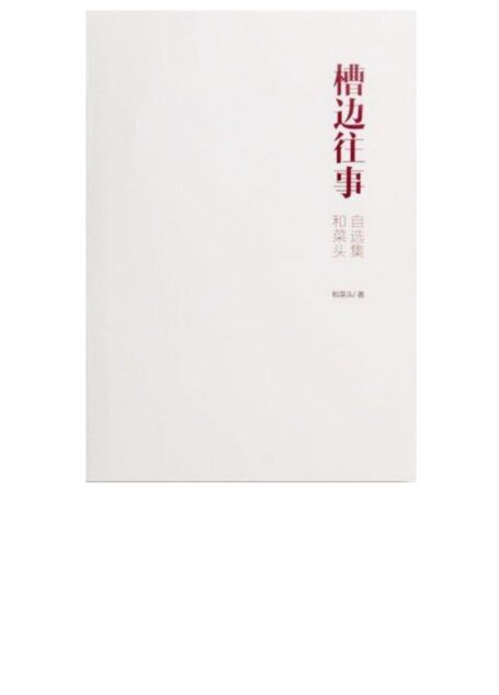 槽边往事:和菜头自选集