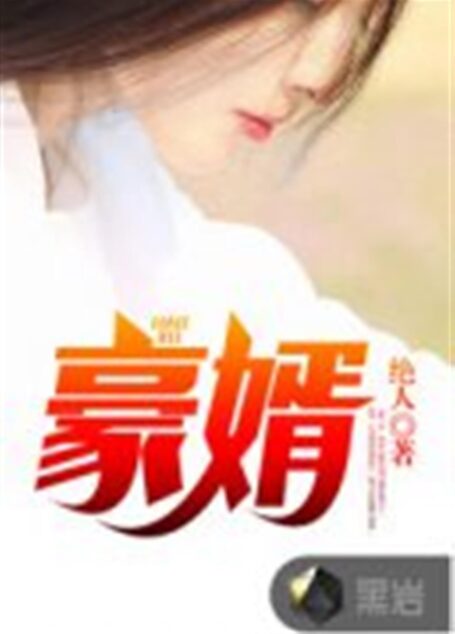 豪婿