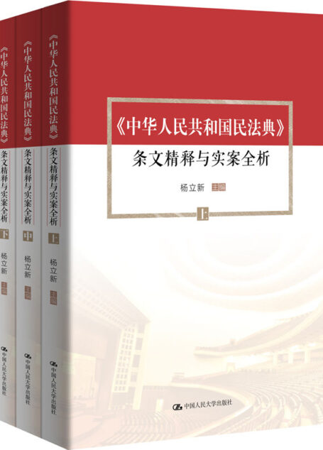 民法典条文精释与实案全析