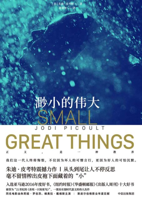 渺小的伟大(直击人心,拷问灵魂,被誉为21世纪的《杀死一只知更鸟》,一部具有划时代意义的伟大杰作。)