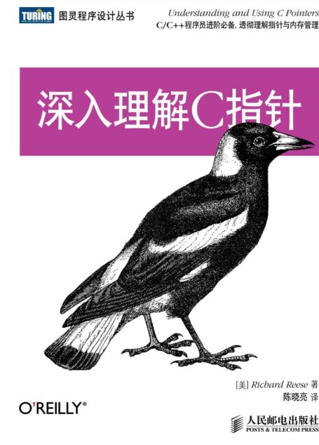 深入理解C指针 (图灵程序设计丛书 82)