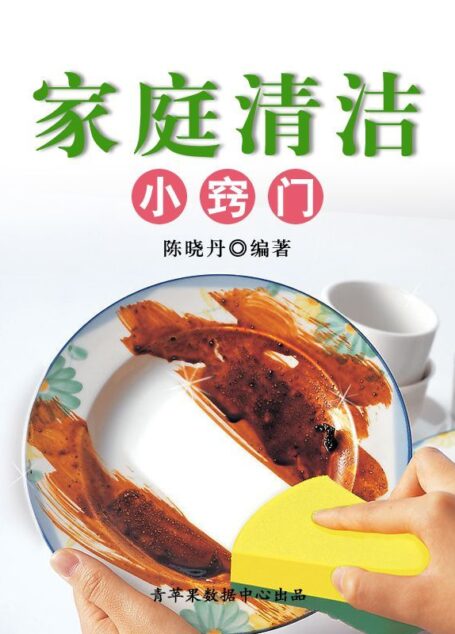 家庭清洁小窍门（最实用的居家小书） (文化百科丛书)