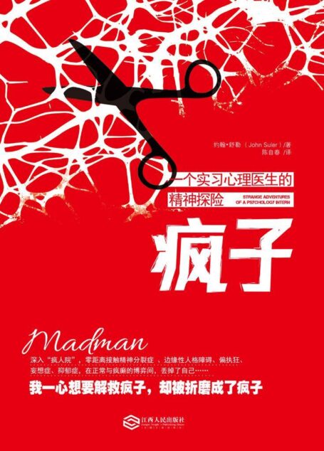 疯子:一个实习心理医生的精神探险 (精神分析心理小说)