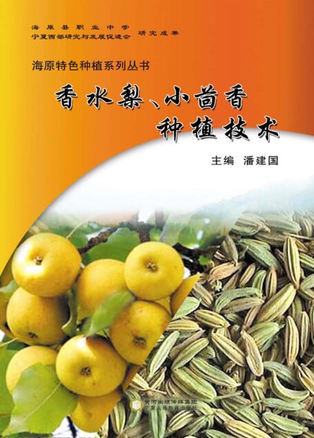 香水梨、小茴香种植技术