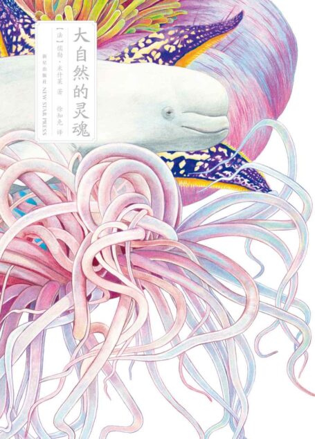 大自然的灵魂 (雅众·文学馆)