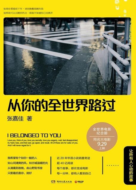 从你的全世界路过(影视版)(近二十年华语小说销量奇迹,超40亿阅读,每个故事都在变成电影,每一分钟,都有人看到自己。张嘉佳献给我们的心动故事! 邓超,杨洋,张天爱,白百何等主演的同名电影正在热映中)
