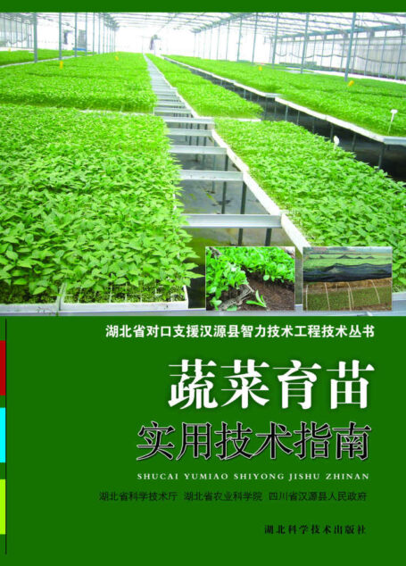 蔬菜育苗实用技术指南 (湖北省对口支援汉源县智力技术工程技术丛书)