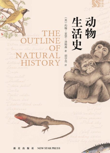 动物生活史