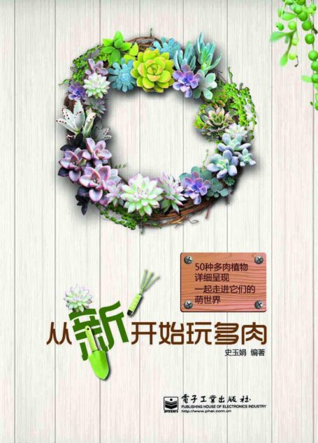 从”新”开始玩多肉