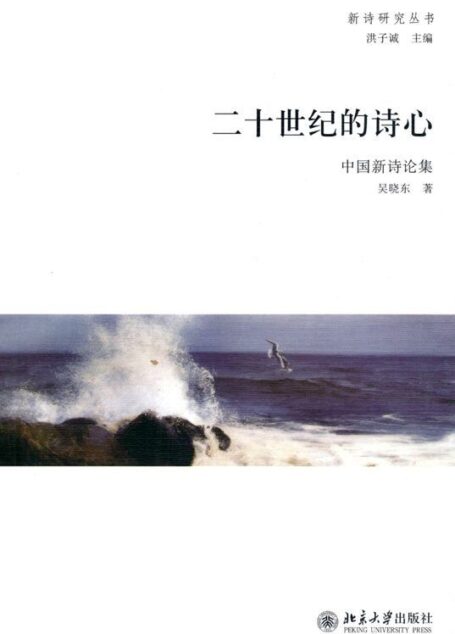 二十世纪的诗心:中国新诗论集 (新诗研究丛书)