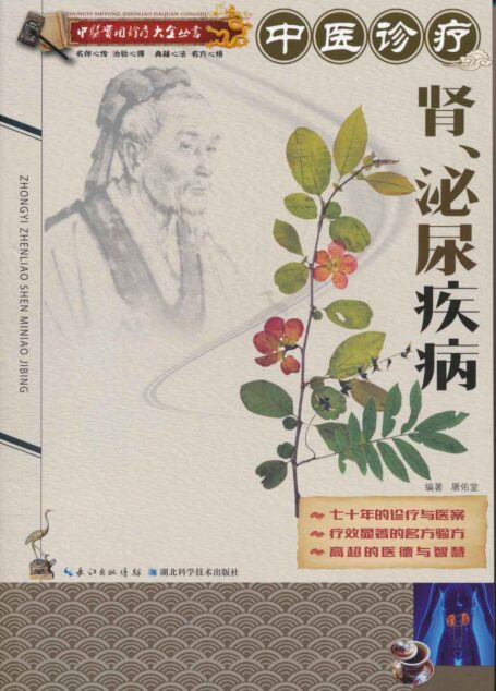 中医实用诊疗大全丛书:中医诊疗肾、泌尿疾病