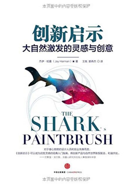 创新启示:大自然激发的灵感与创意